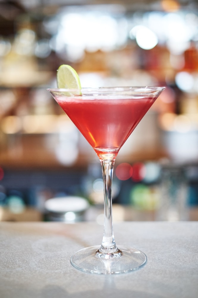 바(숙박 시설 내)