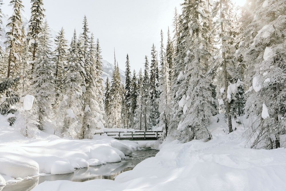 숙박 시설 구내
