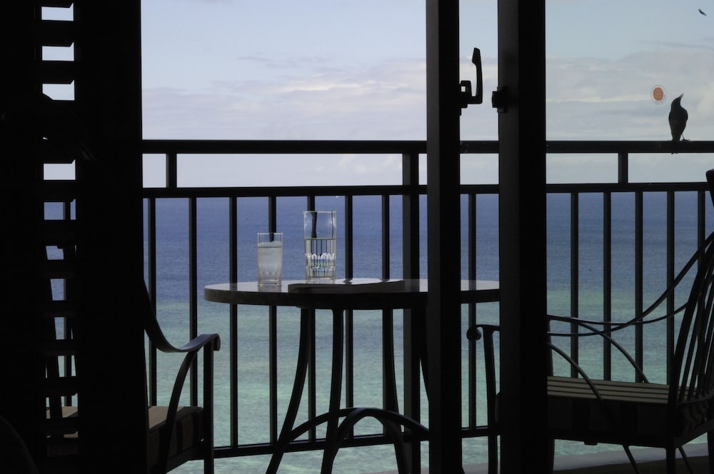 객실에서 보이는 전망