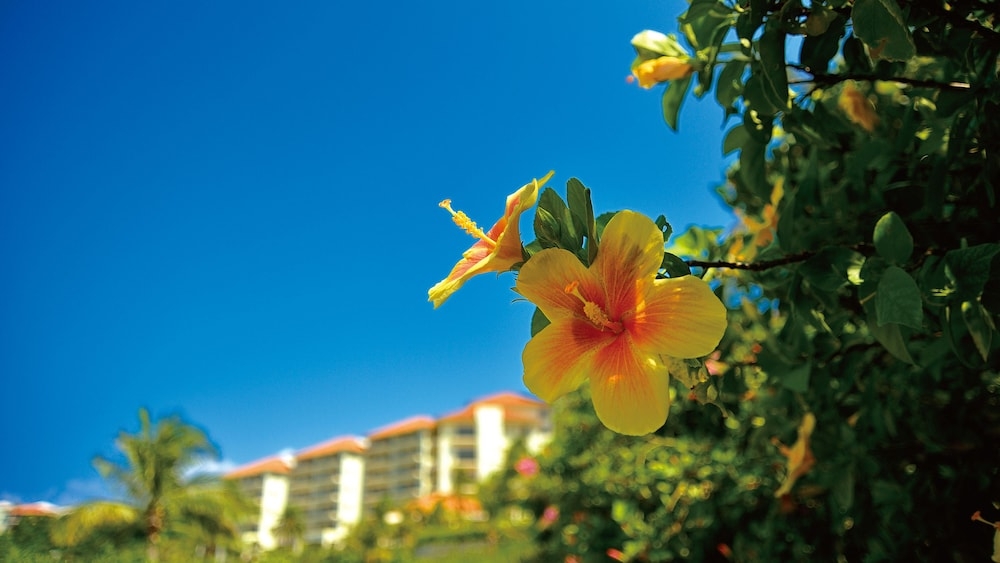 숙박 시설 구내