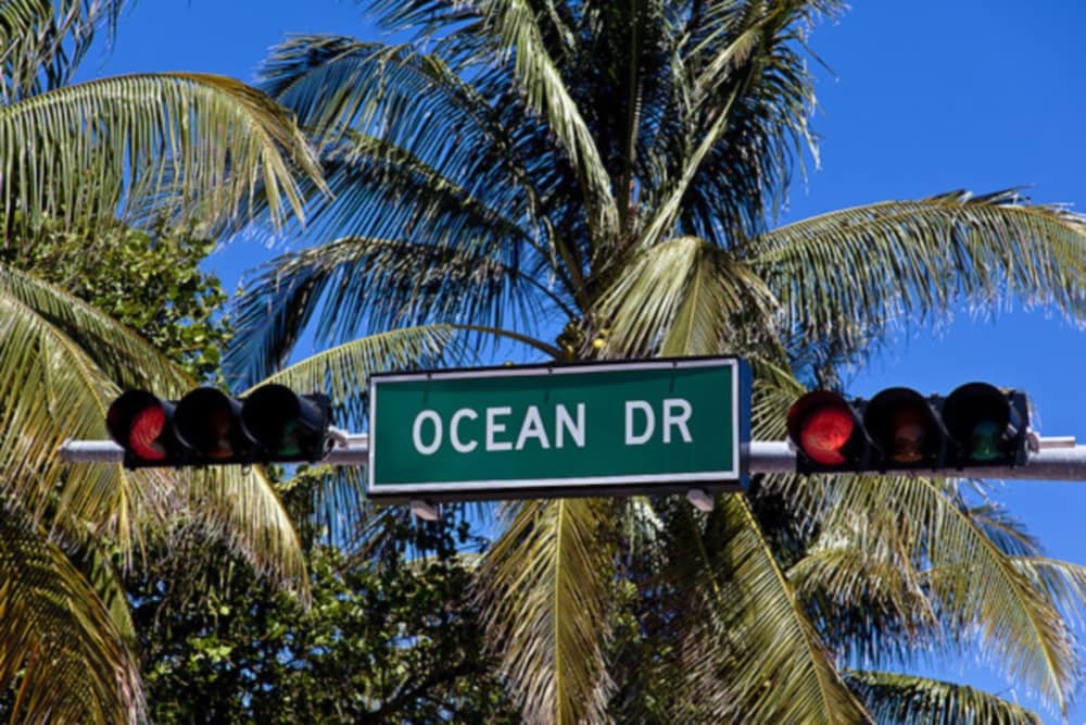 숙박 시설에서 보는 시내 전망