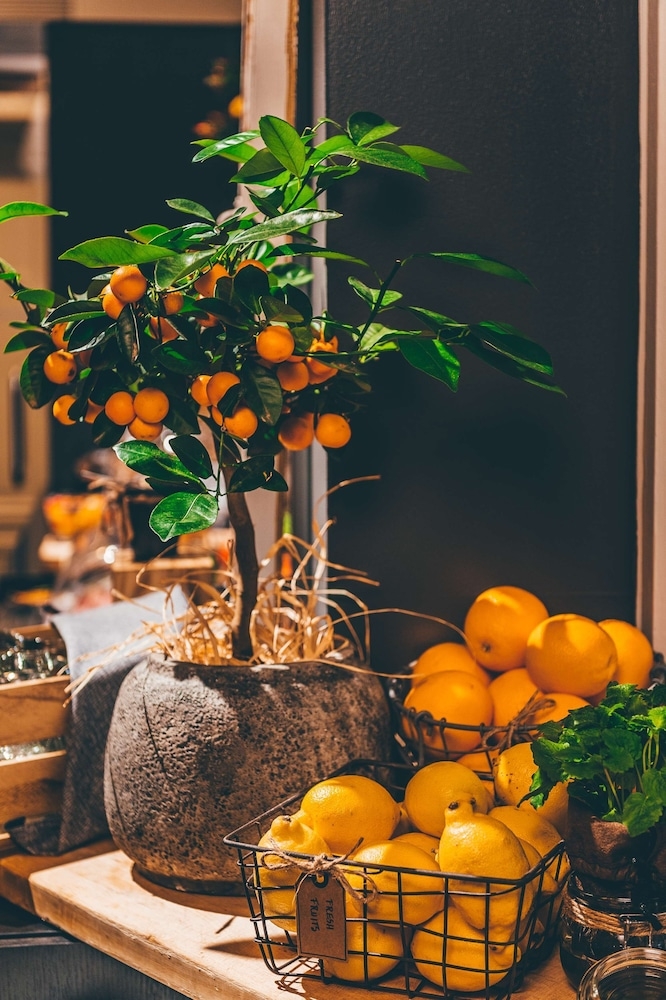 아침 식사 공간