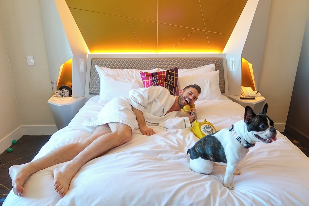 숙박 시설 내 편의 시설/서비스