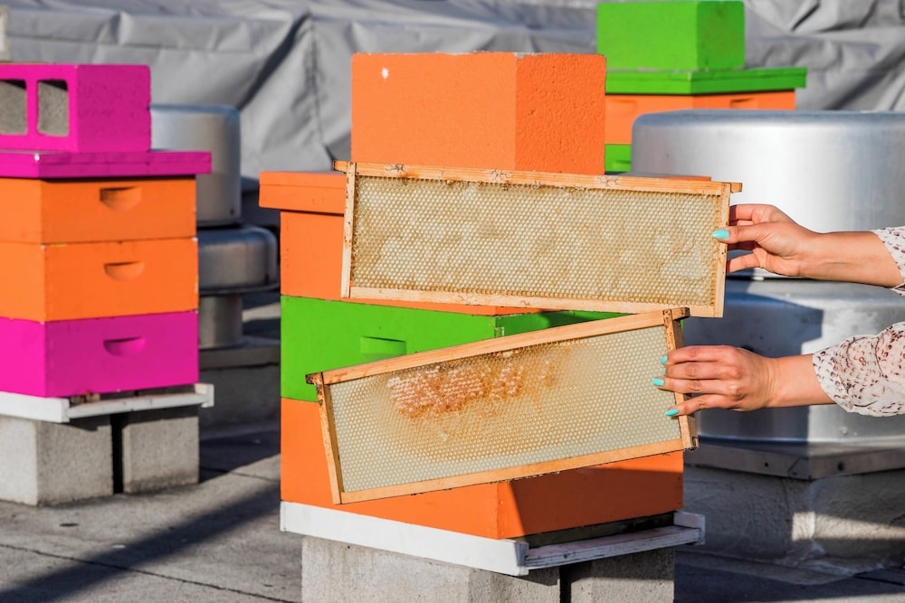 숙박 시설 내 편의 시설/서비스