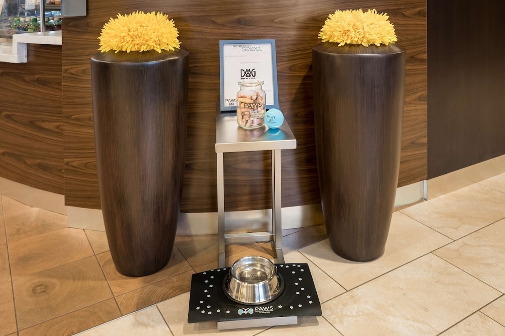 반려동물 동반 가능