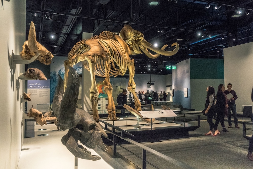 어린이 즐길거리