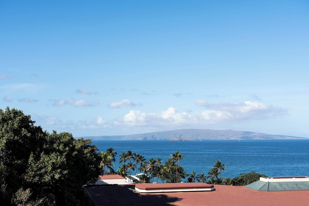 객실에서 보이는 전망