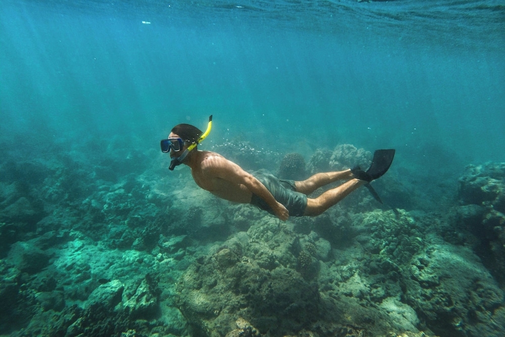 숙박 시설 내 편의 시설/서비스