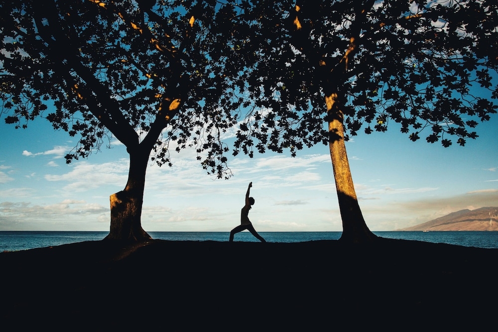 숙박 시설 내 편의 시설/서비스