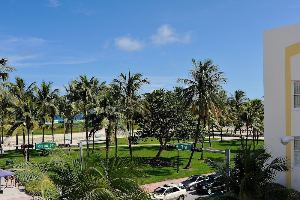 객실에서 보이는 전망