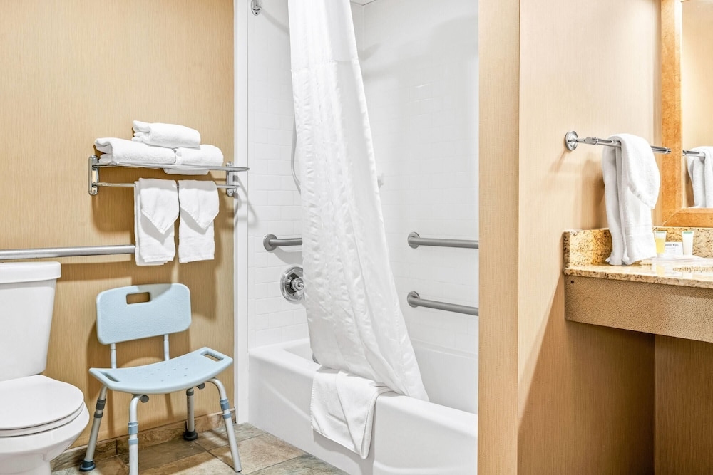 장애인 지원 욕실
