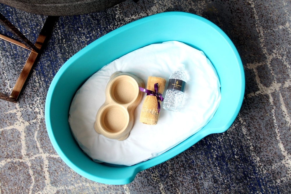 반려동물 동반 가능