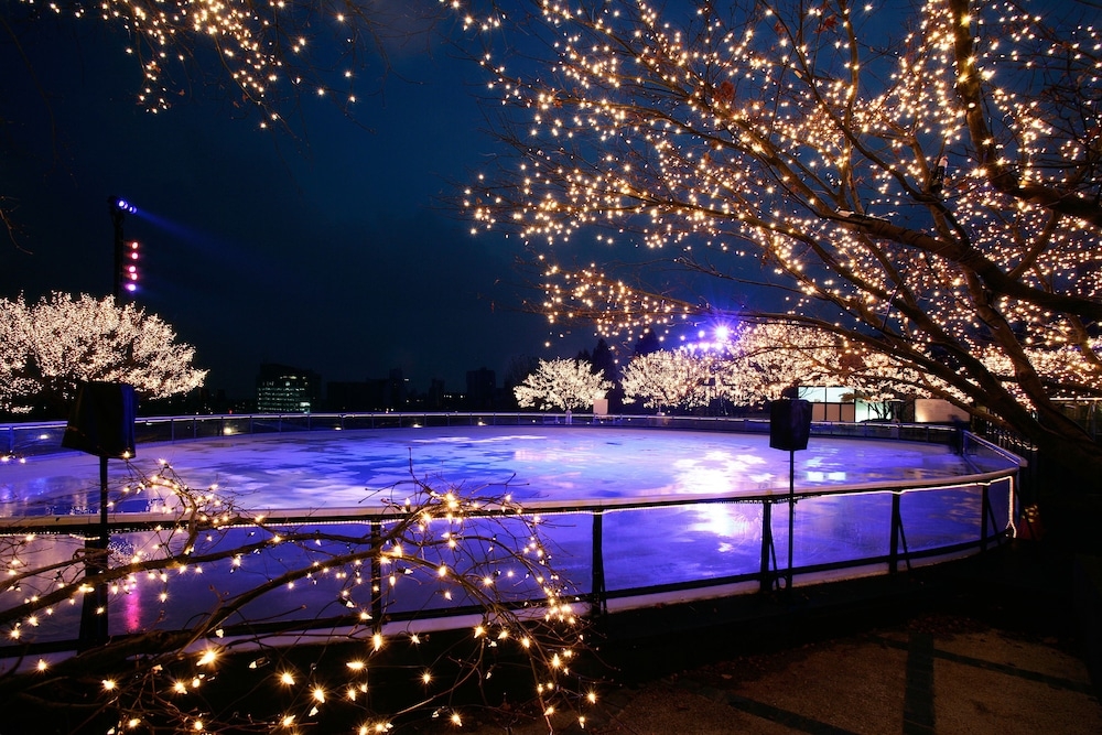 아이스 스케이팅