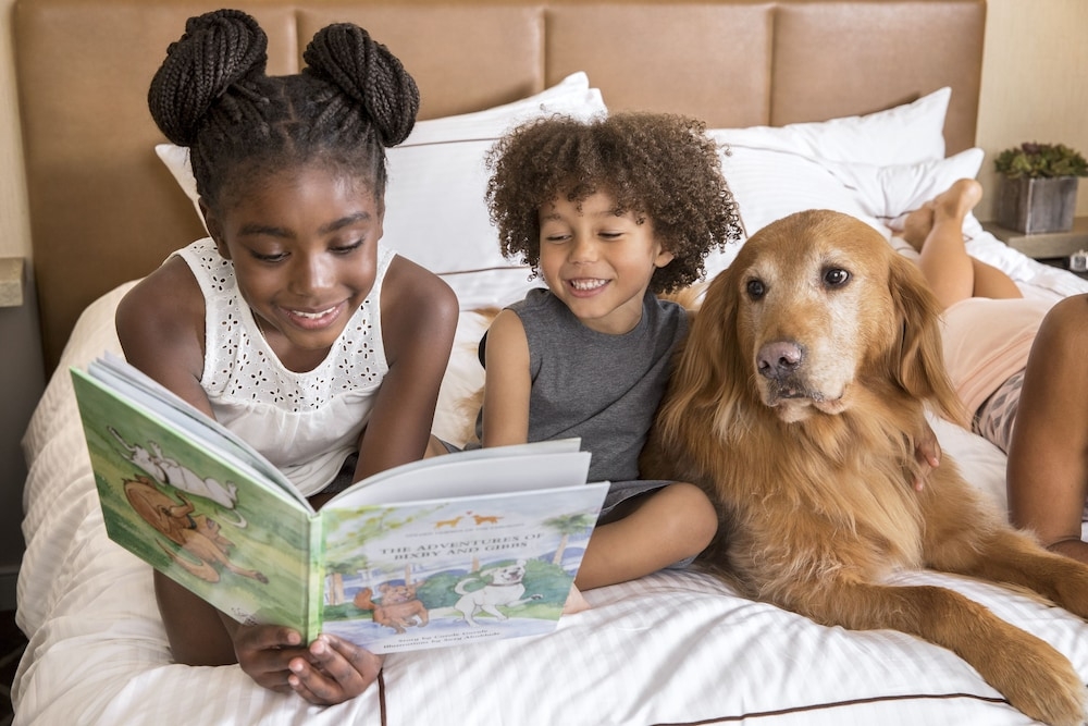 어린이 즐길거리