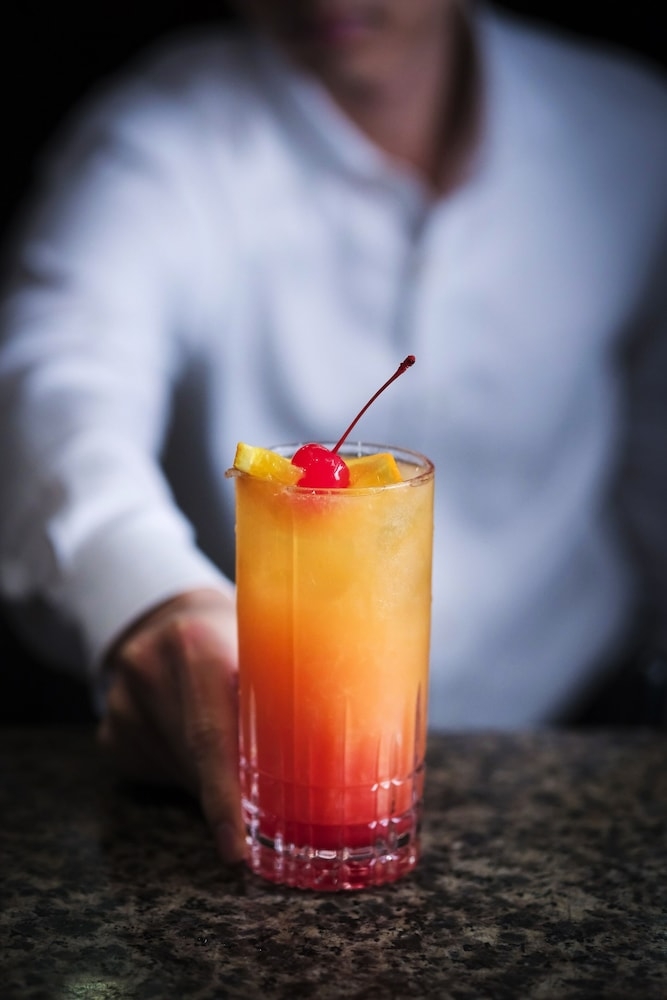 바(숙박 시설 내)