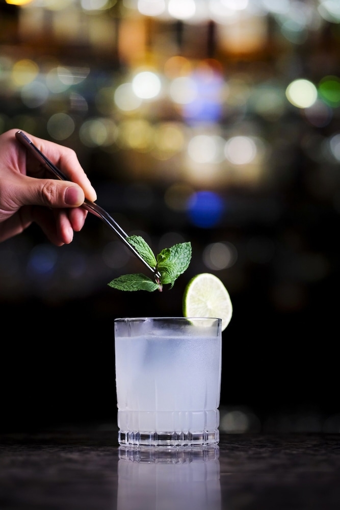 바(숙박 시설 내)