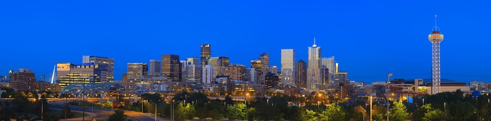 객실에서 보이는 전망