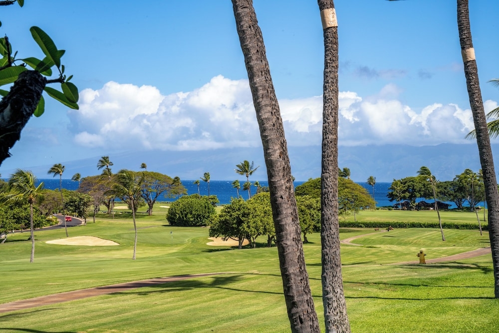 객실에서 보이는 전망