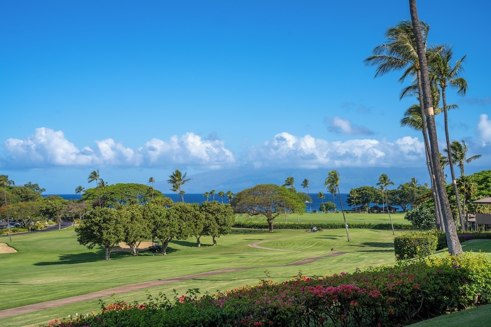 객실에서 보이는 전망