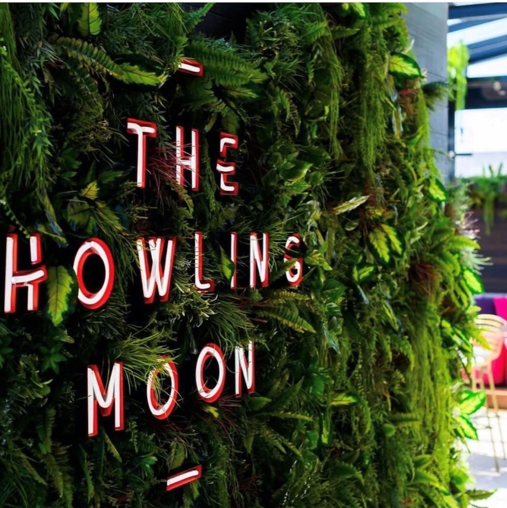 바(숙박 시설 내)