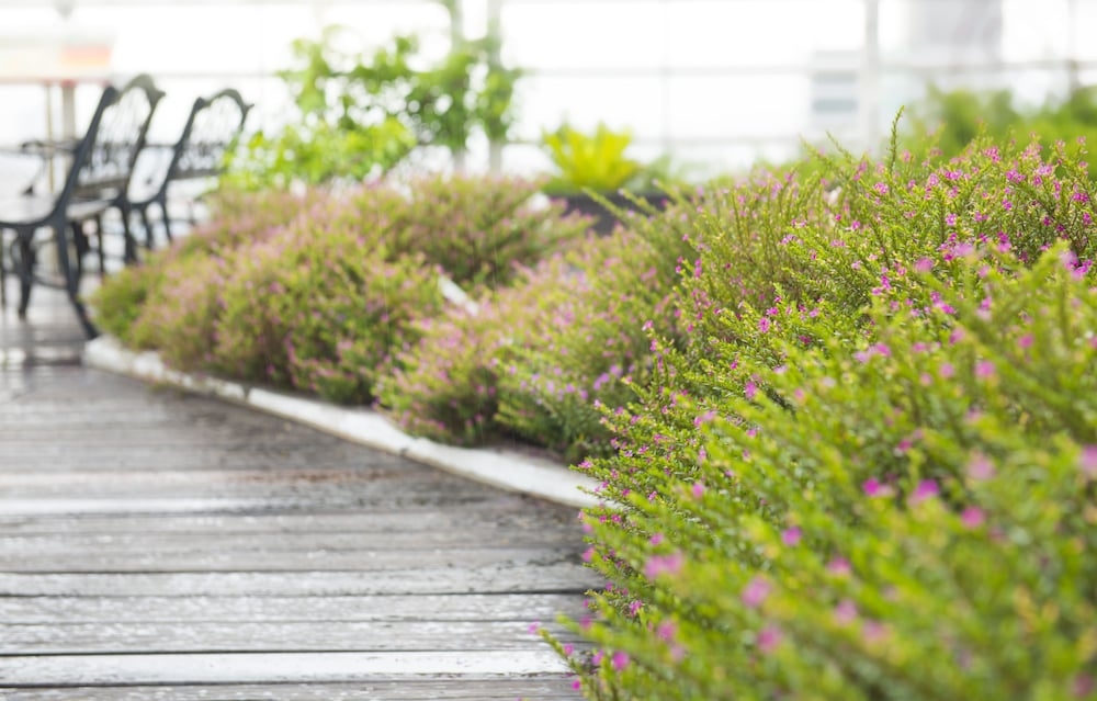 숙박 시설 내 편의 시설/서비스