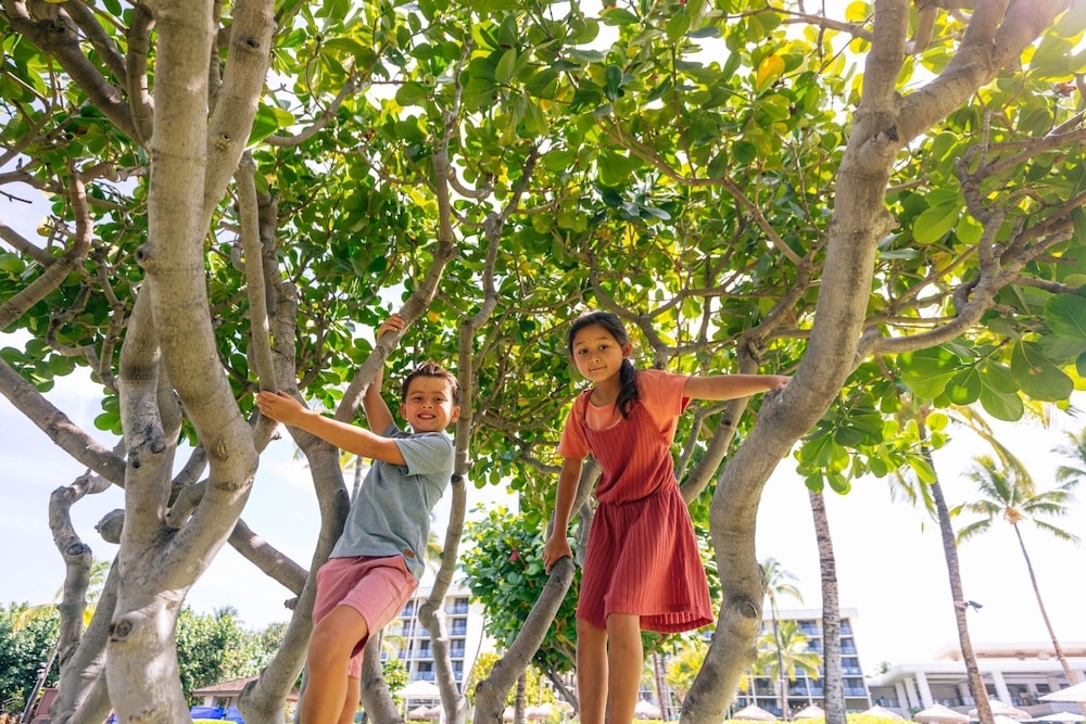 숙박 시설 내 편의 시설/서비스