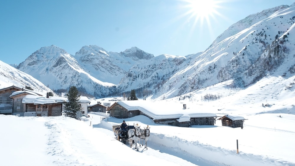 스키 및 겨울 스포츠