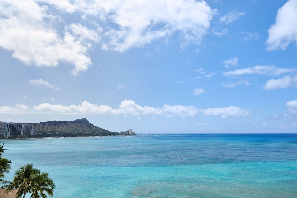 객실에서 보이는 전망