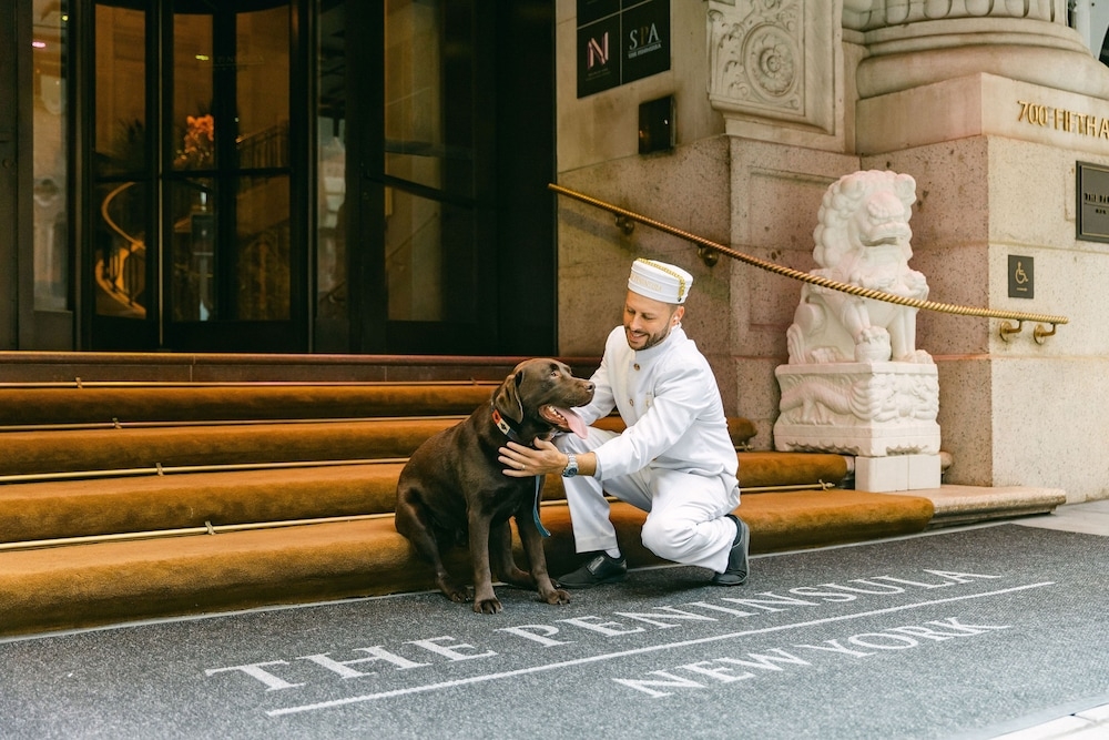 반려동물 동반 가능