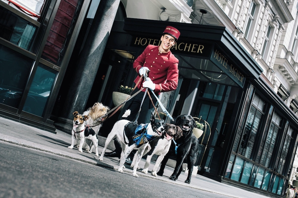 반려동물 동반 가능