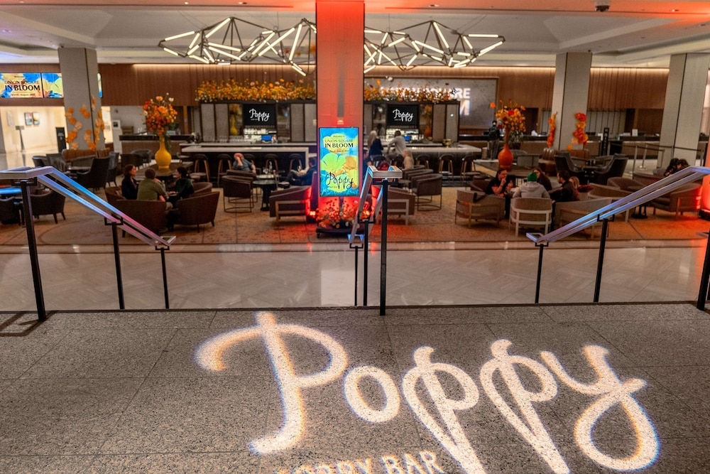 바(숙박 시설 내)