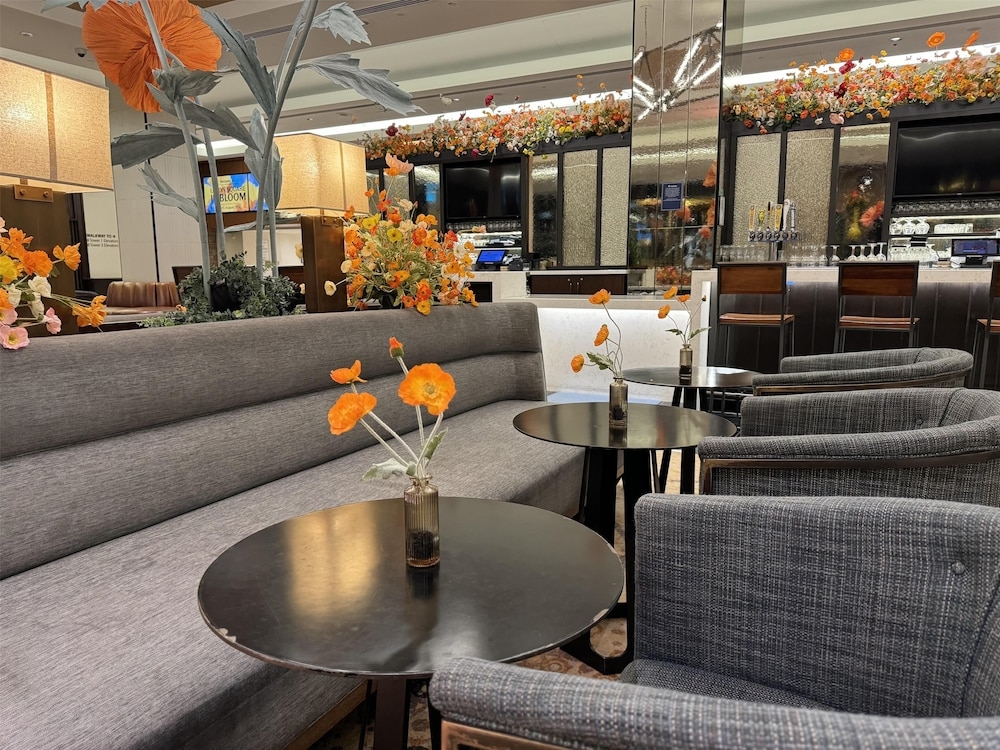 바(숙박 시설 내)