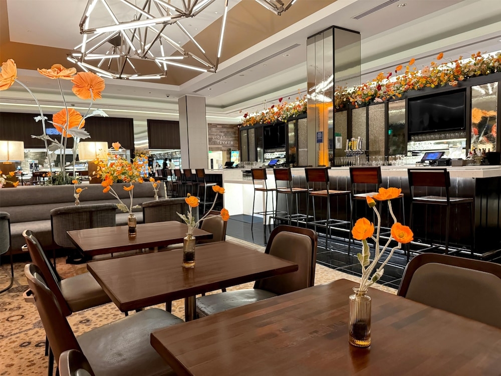 바(숙박 시설 내)