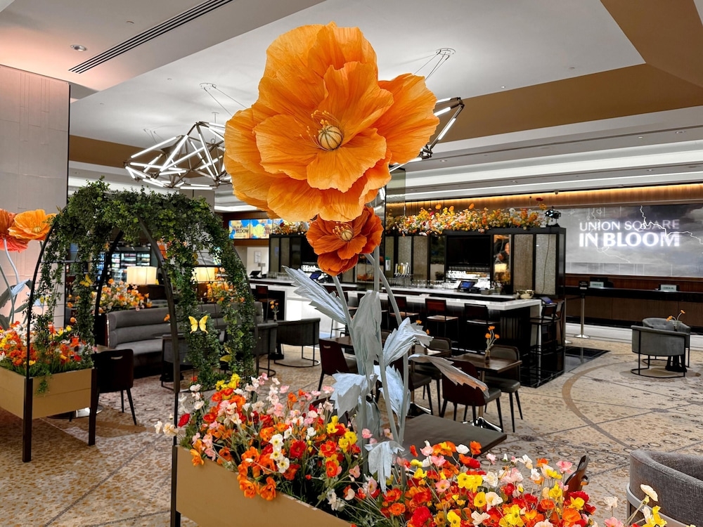 바(숙박 시설 내)