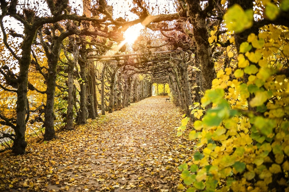 숙박 시설 구내