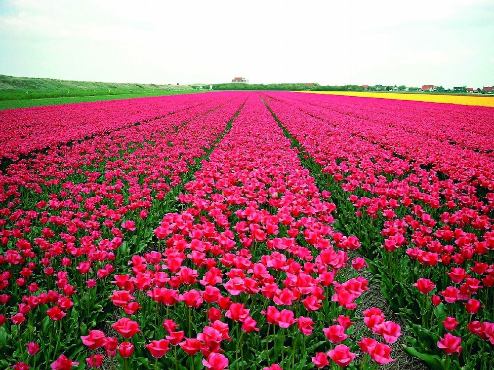 숙박 시설의 전망