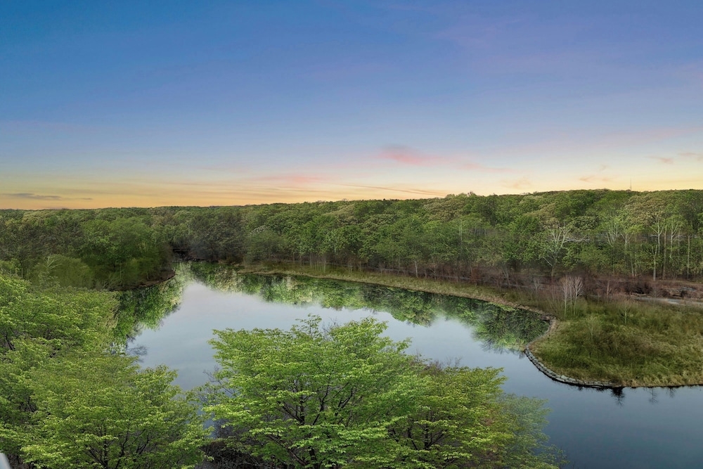 객실에서 보이는 전망
