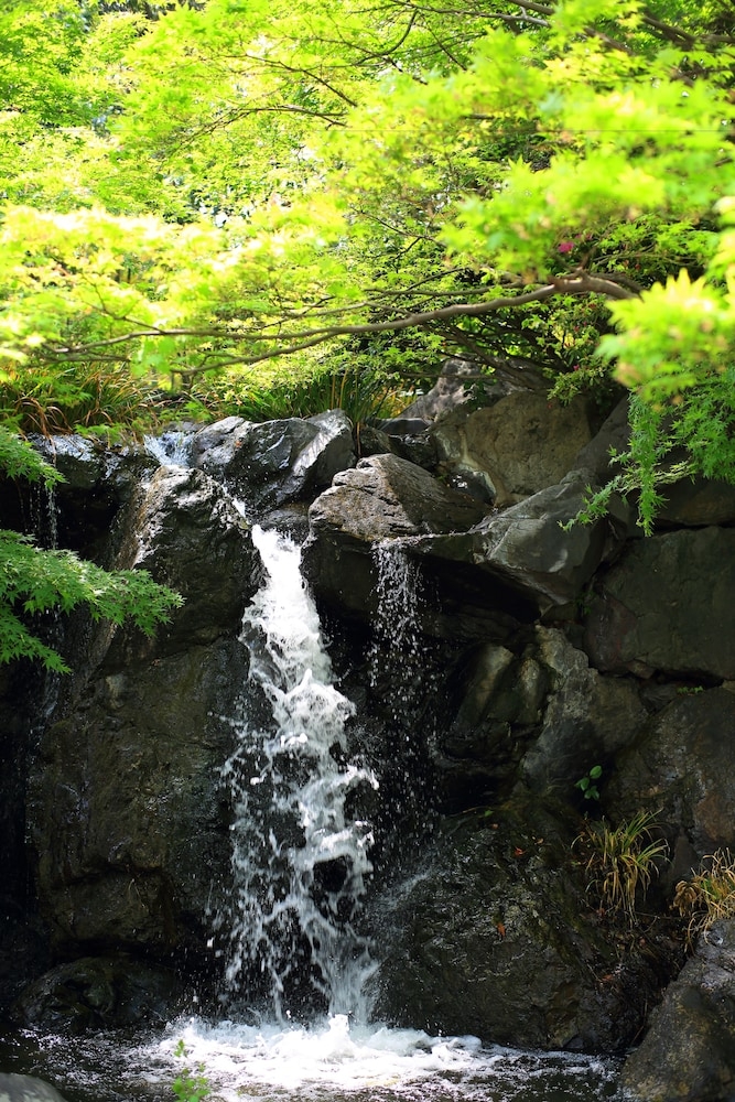 숙박 시설 내 편의 시설/서비스