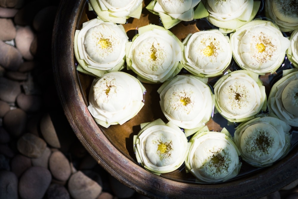 숙박 시설 내 편의 시설/서비스