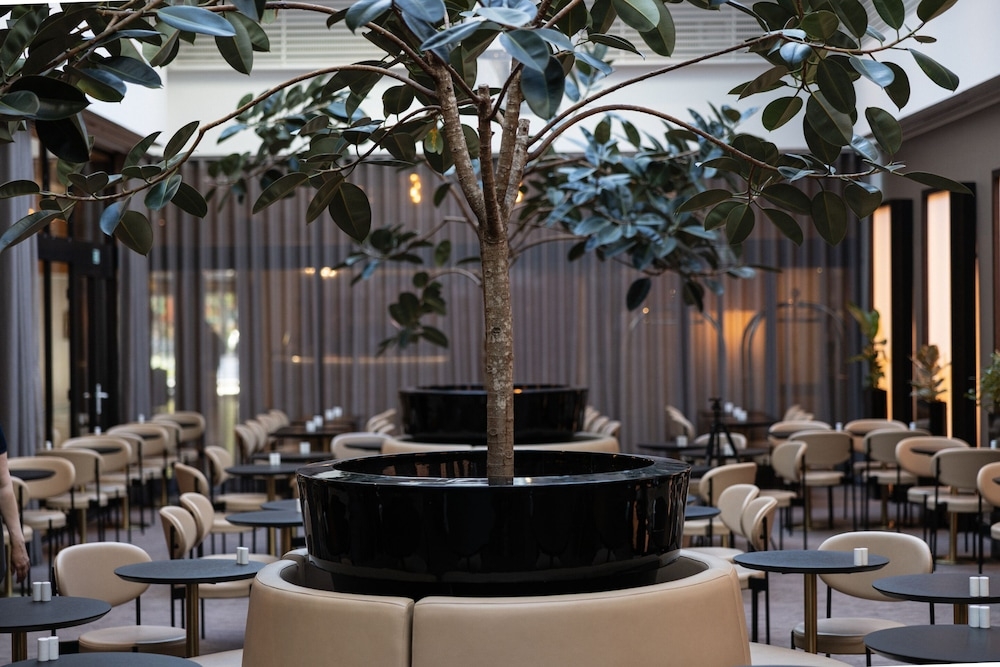 아침 식사 공간