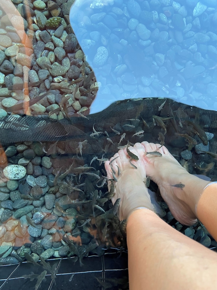 어린이 즐길거리