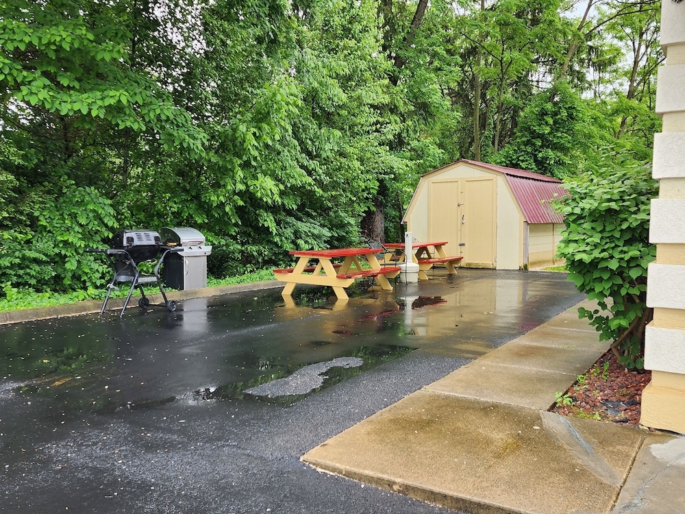 BBQ/피크닉 공간