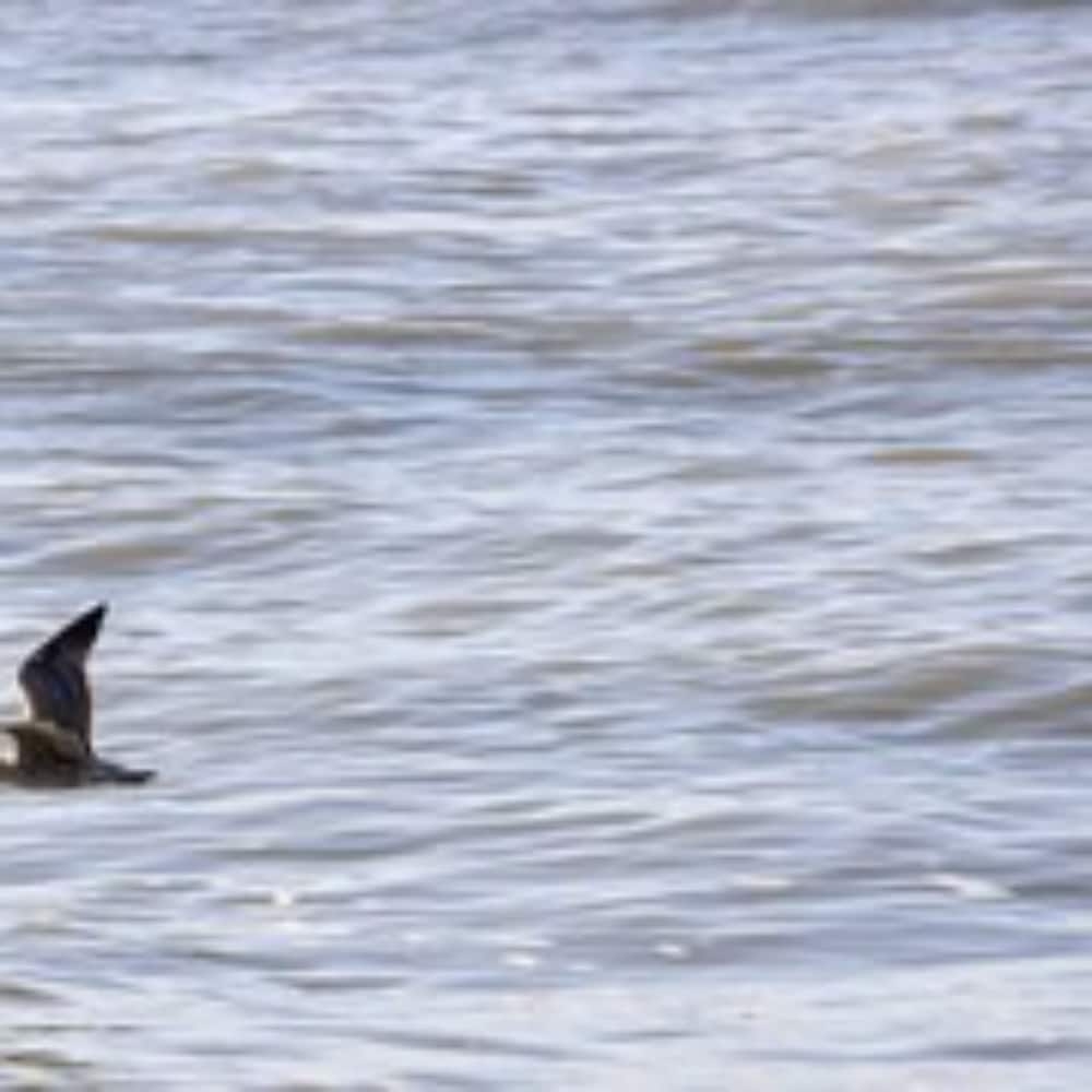 숙박 시설의 전망