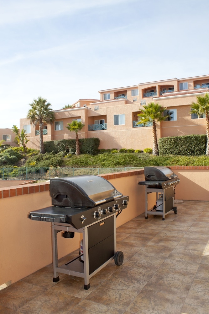 BBQ/피크닉 공간