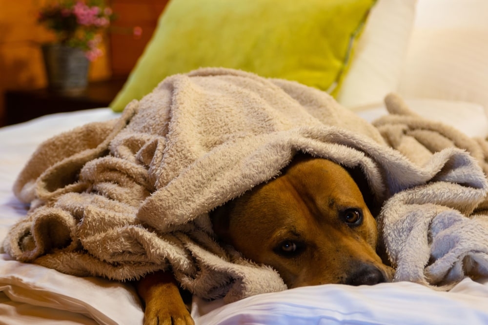 내부 세부 사진