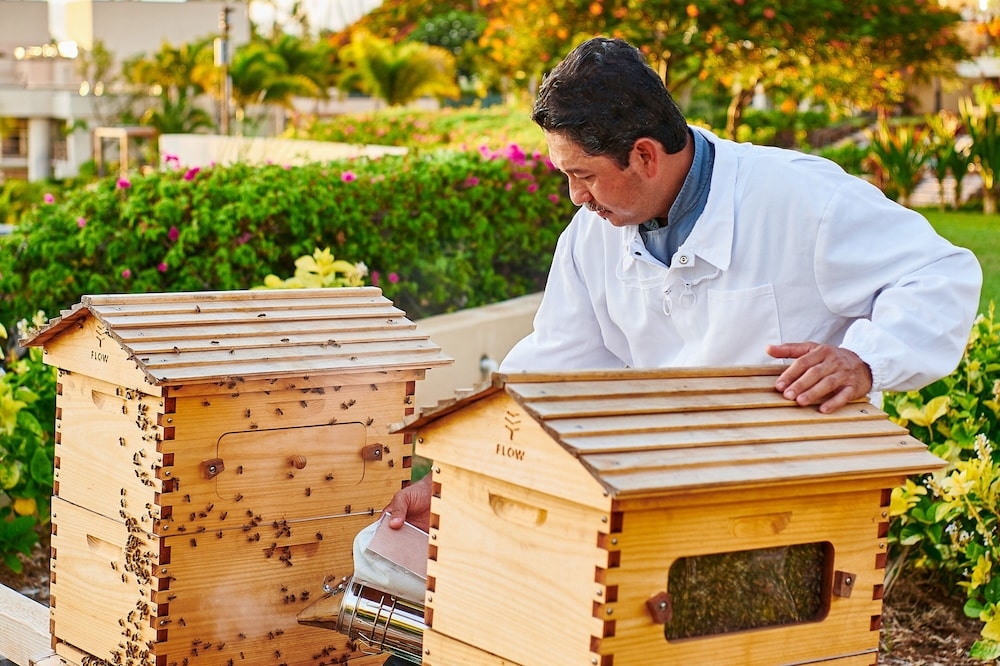 숙박 시설 내 편의 시설/서비스