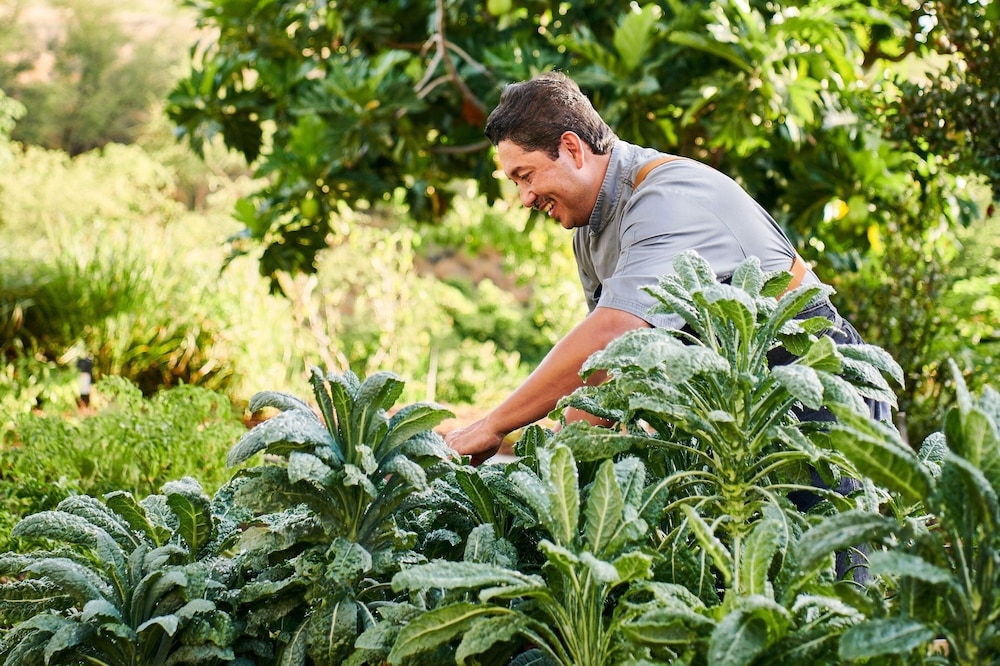 숙박 시설 내 편의 시설/서비스