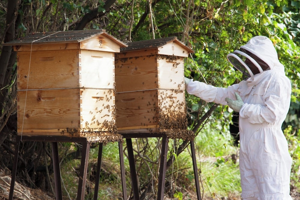 숙박 시설 내 편의 시설/서비스