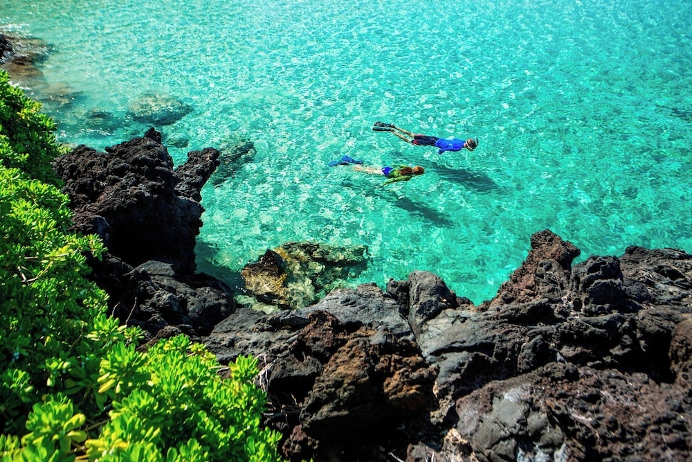 숙박 시설 내 편의 시설/서비스