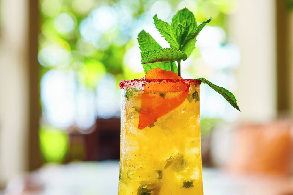 바(숙박 시설 내)